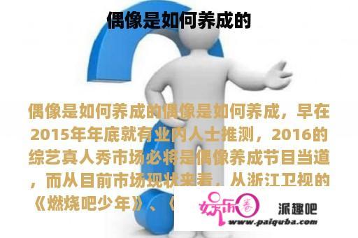 偶像是如何养成的