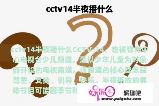 cctv14半夜播什么