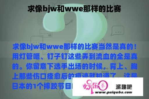 求像bjw和wwe那样的比赛