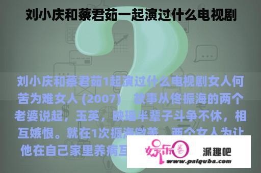 刘小庆和蔡君茹一起演过什么电视剧