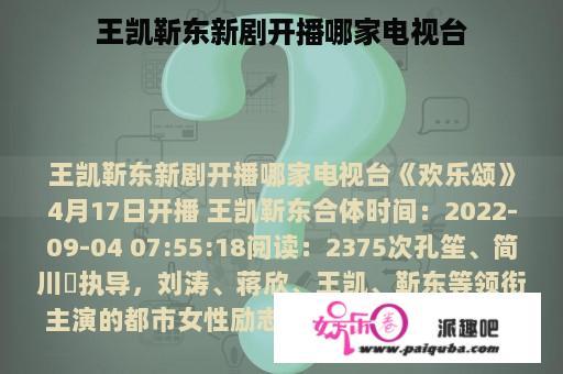 王凯靳东新剧开播哪家电视台