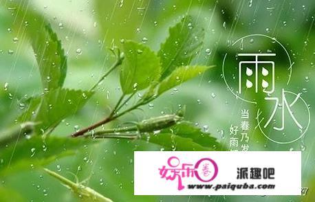 饮了雨水真的会有寄生虫吗