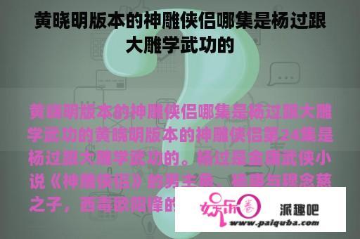 黄晓明版本的神雕侠侣哪集是杨过跟大雕学武功的