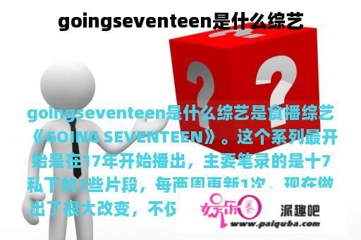 goingseventeen是什么综艺