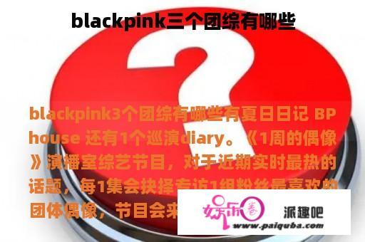 blackpink三个团综有哪些