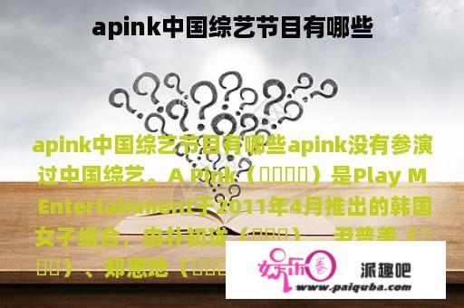 apink中国综艺节目有哪些