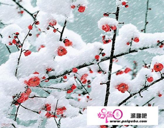 冬天下雪了，依据这幅图，你能作1首诗吗