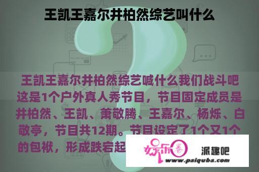 王凯王嘉尔井柏然综艺叫什么