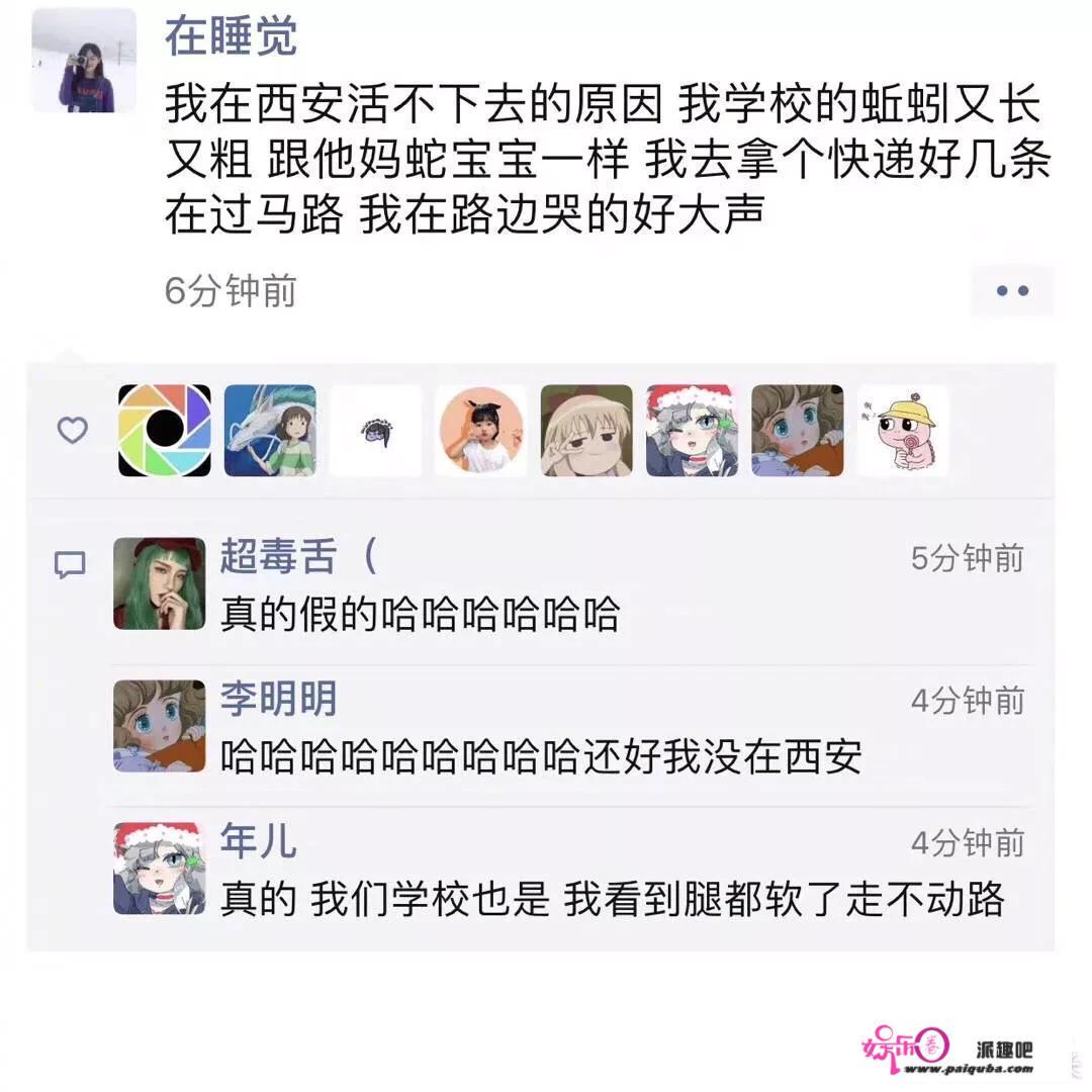 你看到过哪些搞笑段子，图片，搞笑GIF动图，能分享1下吗