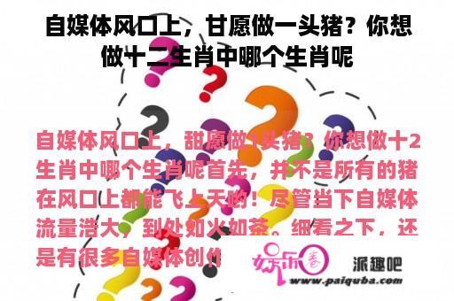 自媒体风口上，甘愿做一头猪？你想做十二生肖中哪个生肖呢