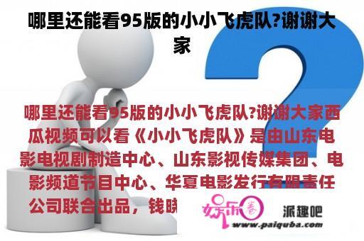 哪里还能看95版的小小飞虎队?谢谢大家