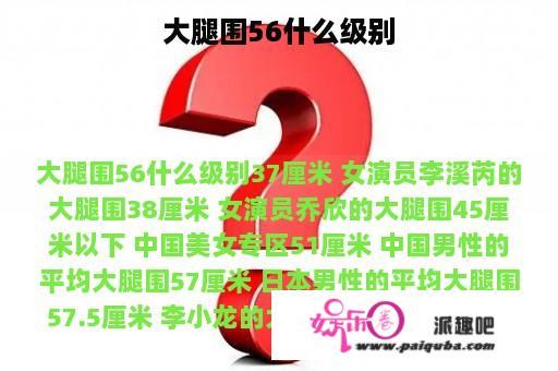 大腿围56什么级别