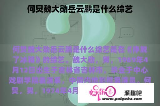 何炅魏大勋岳云鹏是什么综艺