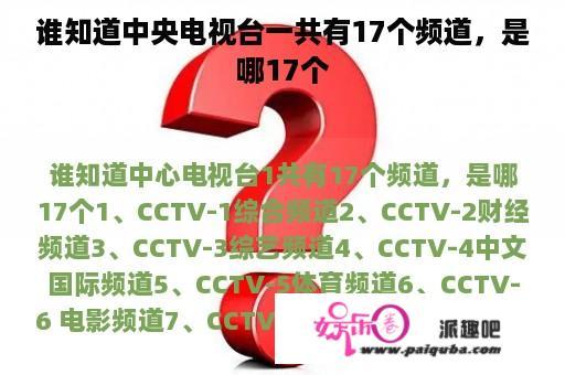 谁知道中央电视台一共有17个频道，是哪17个