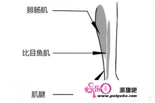 网传“日本瘦腰磨练法”靠谱吗