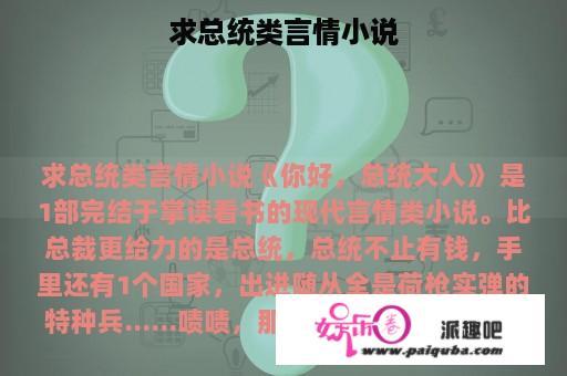 求总统类言情小说