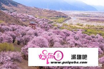 3月21日自驾往西躲林芝看桃花，经典款的别克gl8能胜任吗