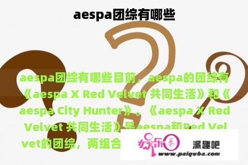 aespa团综有哪些