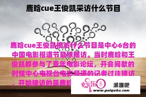 鹿晗cue王俊凯采访什么节目