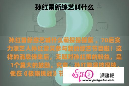 孙红雷新综艺叫什么