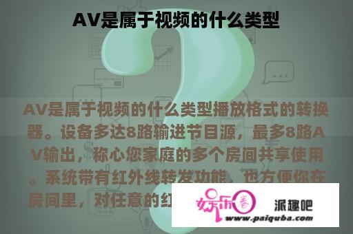 AV是属于视频的什么类型