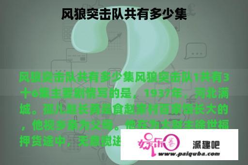 风狼突击队共有多少集