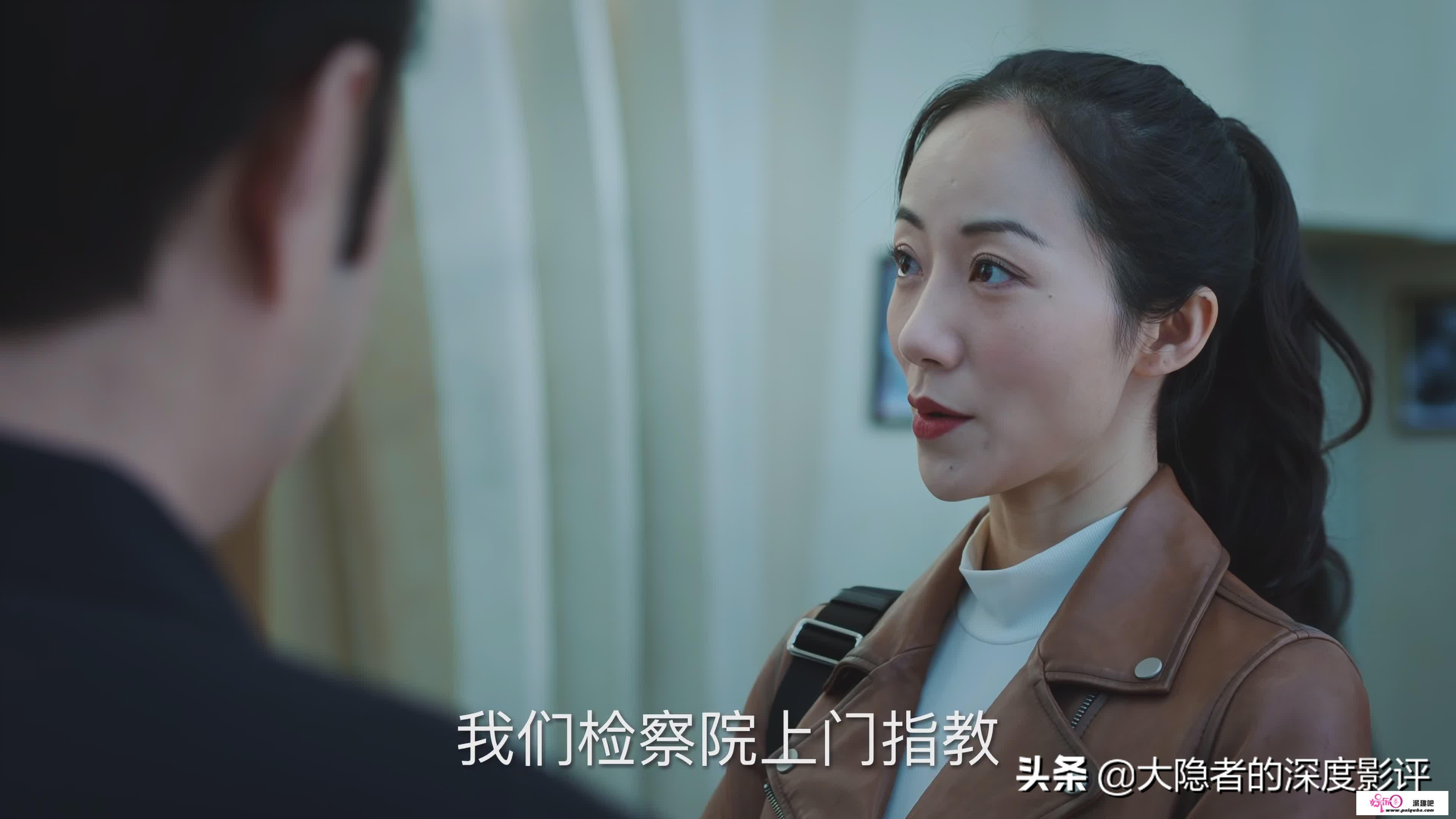 《人民的名义》姊妹篇《巡回检察组》有啥看点