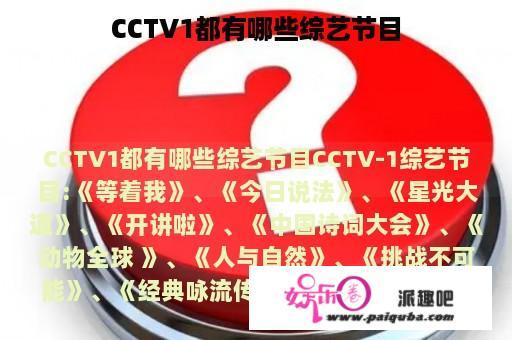 CCTV1都有哪些综艺节目