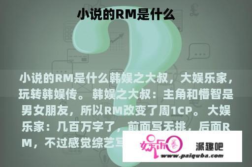 小说的RM是什么