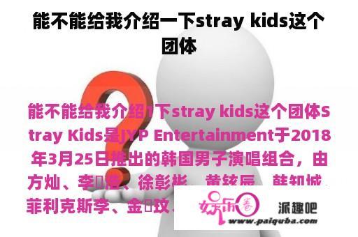 能不能给我介绍一下stray kids这个团体