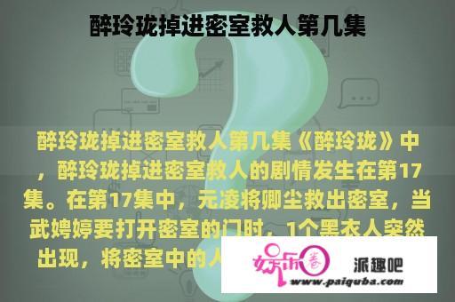 醉玲珑掉进密室救人第几集