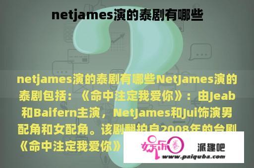 netjames演的泰剧有哪些