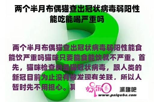 两个半月布偶猫查出冠状病毒弱阳性能吃能喝严重吗