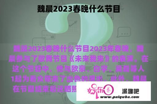 魏晨2023春晚什么节目