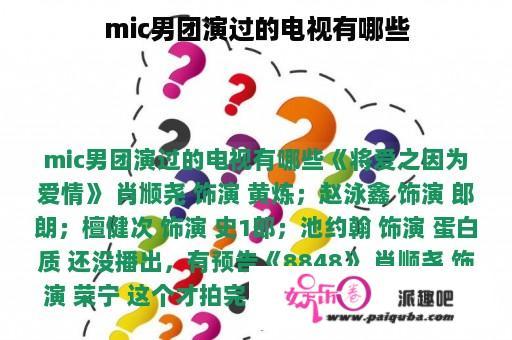 mic男团演过的电视有哪些