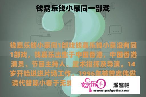 钱嘉乐钱小豪同一部戏