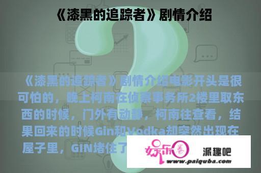 《漆黑的追踪者》剧情介绍