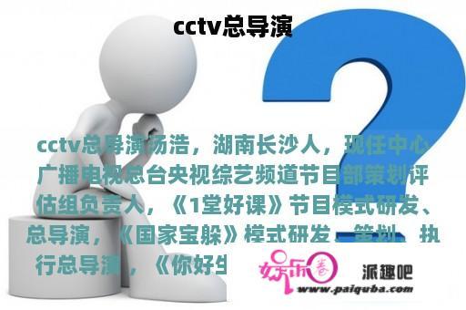 cctv总导演