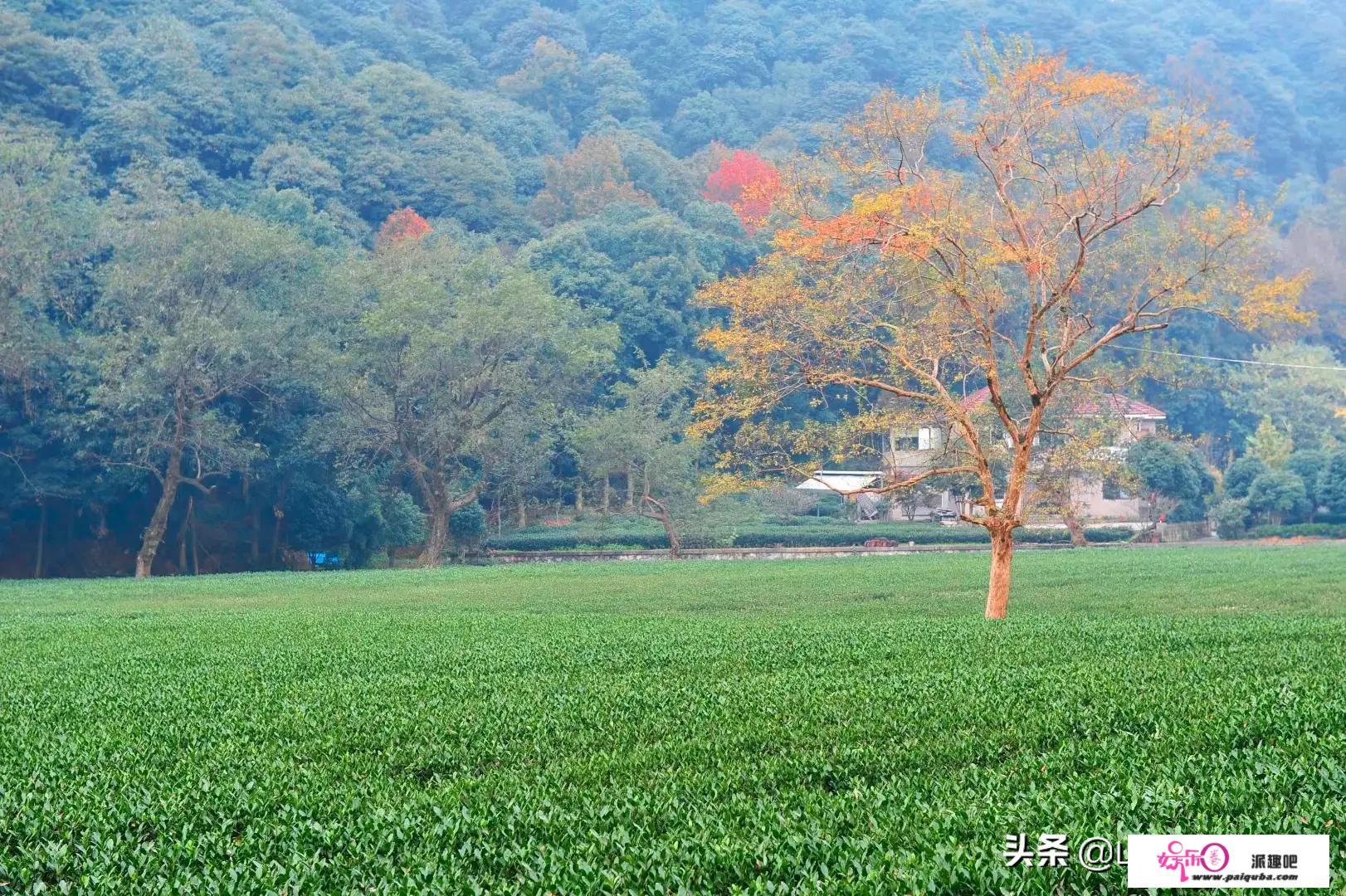 是不是每个人都有经历过被欲看诱惑，然后越陷越深的经历