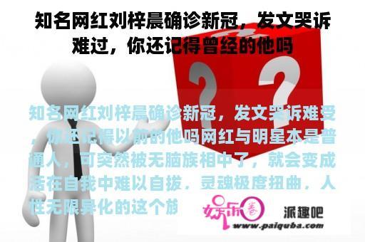 知名网红刘梓晨确诊新冠，发文哭诉难过，你还记得曾经的他吗