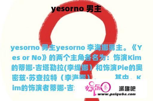 yesorno 男主