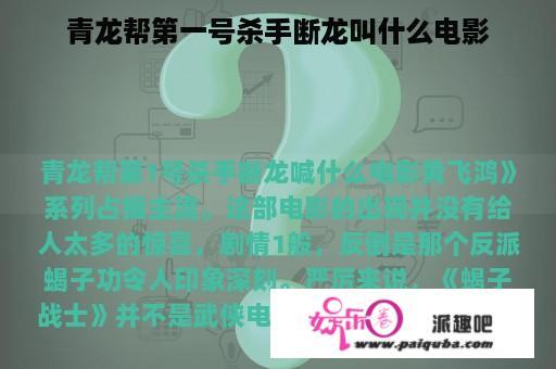 青龙帮第一号杀手断龙叫什么电影