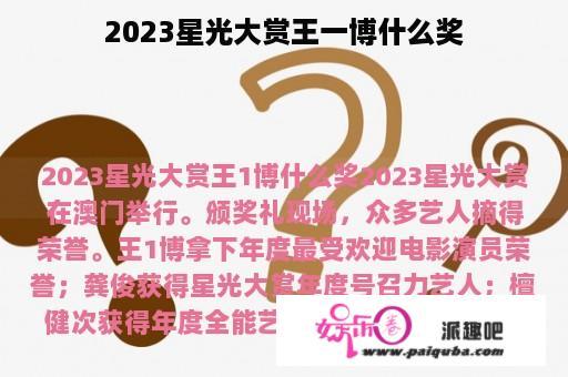 2023星光大赏王一博什么奖