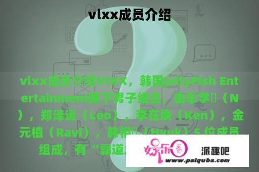 vlxx成员介绍