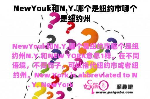 NewYouk和N.Y.哪个是纽约市哪个是纽约州