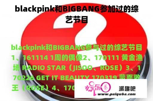 blackpink和BIGBANG参加过的综艺节目