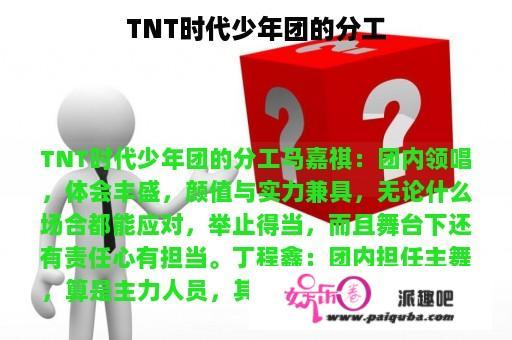 TNT时代少年团的分工