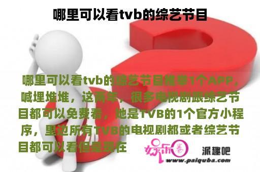 哪里可以看tvb的综艺节目