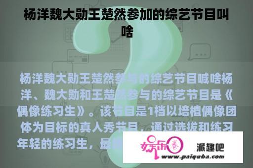 杨洋魏大勋王楚然参加的综艺节目叫啥