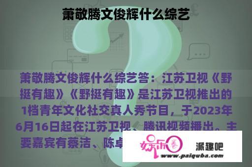 萧敬腾文俊辉什么综艺